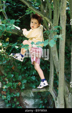 Boy climbing tree, Banque D'Images