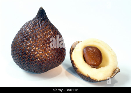 Salak Salacca (fruits, Snake zalacca), fruits, studio photo Banque D'Images