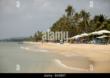 Palmiers à Long Beach sur l'île de Phu Quoc Vietnam Banque D'Images