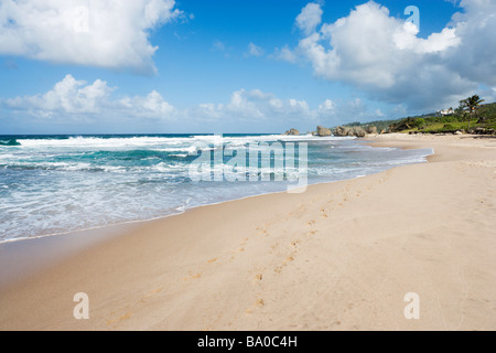 Plage de la côte est près de Barclays Park, Barbade, Petites Antilles, Antilles, Caraïbes Banque D'Images