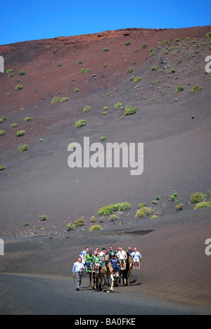 Promenades en chameau, le Parc National de Timanfaya, Lanzarote, îles Canaries, Espagne Banque D'Images