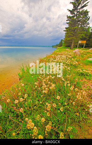 Rivage du lac Clear dans le parc national du Mont-Riding, Manitoba Canada Banque D'Images