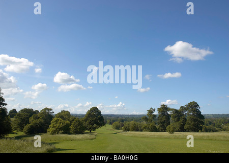 Vue sur parc avec arbres de chêne dans le Kent en Angleterre Banque D'Images