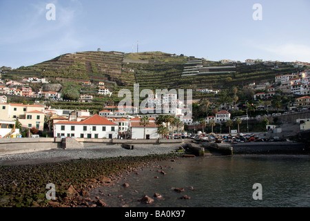 Camara de Lobos Banque D'Images