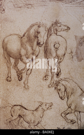 Les études cheval de Léonard de Vinci 1480 metalpoint Banque D'Images