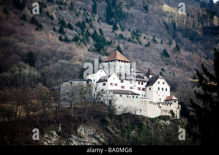 Le château princier de Vaduz, Liechtenstein Banque D'Images