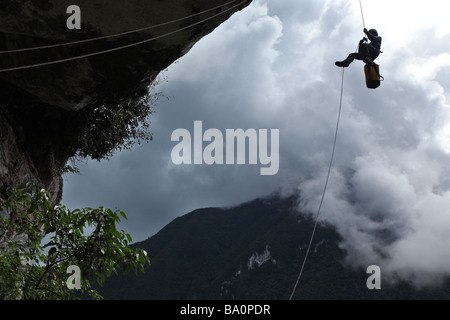 La descente en rappel dans une grotte isolée de Mulu National Park, Bornéo Sarawak Banque D'Images