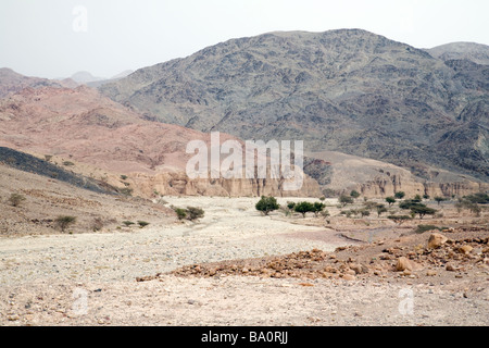 Le lit d'une rivière asséchée pendant une sécheresse, Dana, Jordanie Banque D'Images