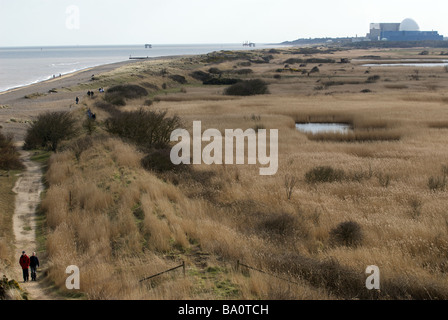 Réserve Naturelle de Minsmere, près de la centrale nucléaire de Sizewell, Suffolk, UK. Banque D'Images