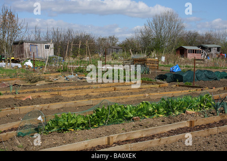 Jardins d'attribution dans le Nottinghamshire, Angleterre, Royaume-Uni Banque D'Images