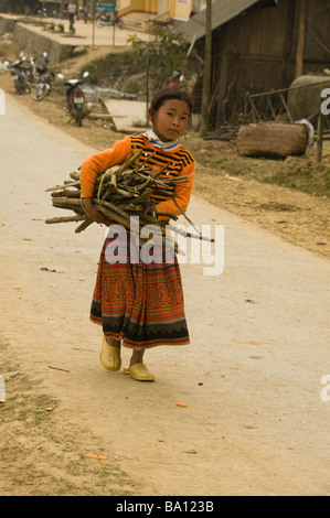 Girl Flower Hmong transportant du bois de chauffage de la maison le marché en cau fils près de Bac Ha Vietnam Banque D'Images