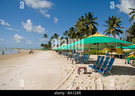 La plage de Porto de Galinhas. Etat du Pernambuco, au Brésil. Banque D'Images