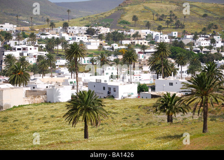 Vallée des mille palmiers, Haria, province de Las Palmas, Lanzarote, îles Canaries, Espagne Banque D'Images