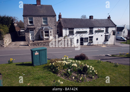 'Nelson les armes", "public house par iddleton Wirksworth', Derbyshire, Angleterre, 'Grande-bretagne', 'Royaume-Uni' Banque D'Images