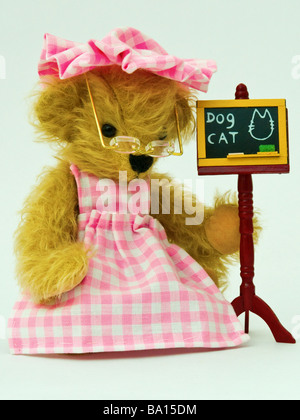 Teddy miniature Mini Collection ours (professeur) Banque D'Images