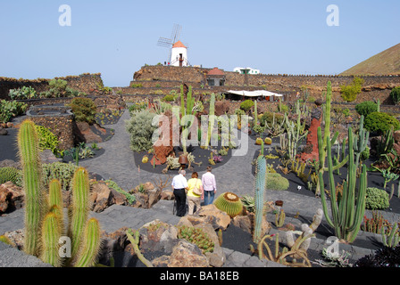 Jardin de Cactus, Guatiza, province de Las Palmas, Lanzarote, Îles Canaries, Espagne Banque D'Images