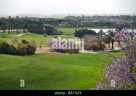 Katameya Heights Golf Course, le Nouveau Caire, Egypte Banque D'Images