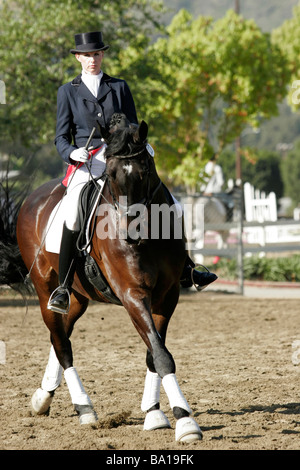 Concours de chevaux de dressage Banque D'Images