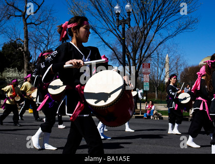 Jeune femme tambours Taiko au défilé - National Cherry Blossom Festival à Washington, DC, USA Banque D'Images