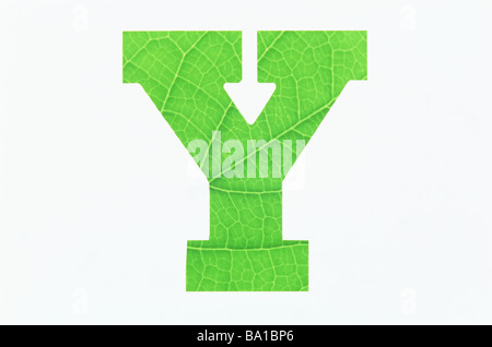 Alphabet vert Y Fond blanc Banque D'Images