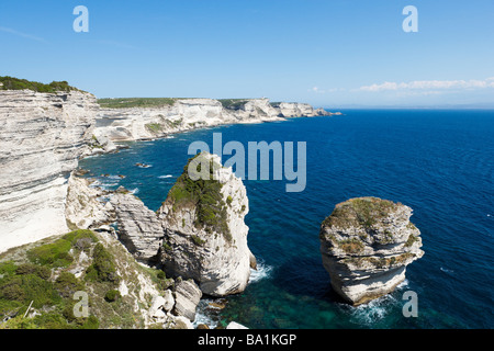 Falaises calcaires juste en dehors de Bonifacio, Corse, France Banque D'Images