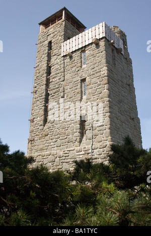 Tower sur le mont Constitution - Moran State Park - Orcas Island, Washington USA Banque D'Images