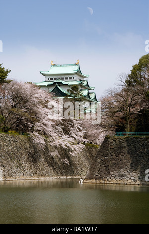 Château de Nagoya, préfecture d'Aichi au Japon Banque D'Images