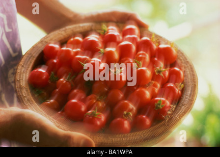 Bol de tomates cerises fraîches Banque D'Images