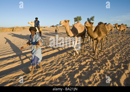 Touareg caravane de chameaux dans le désert juste à l'extérieur de Tombouctou au Mali Banque D'Images