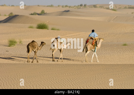 Touareg caravane de chameaux dans le désert juste à l'extérieur de Tombouctou au Mali Banque D'Images
