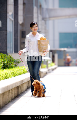 Young woman walking un caniche Toy sur juvel holding bag of groceries Banque D'Images