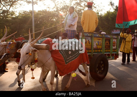 Un taureau en voiture est une procession au coucher du soleil à Srirangapatnam près de Mysore, en Inde. Banque D'Images
