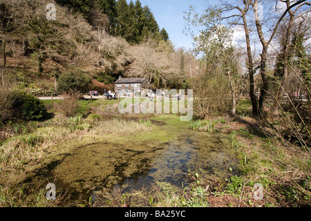 Cafe à raison de Cardinham Woods à Cornwall en Angleterre Banque D'Images