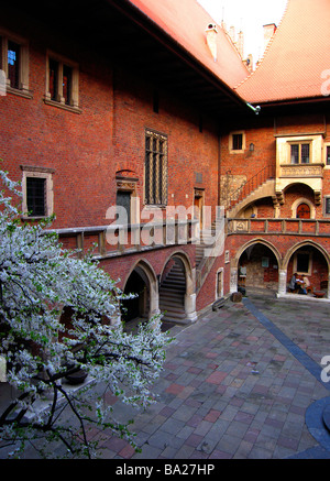 L'école la plus ancienne de Cracovie en Pologne cour de Collegium Maius Museum Université jagellonne, vieille ville de printemps de l'UNESCO Banque D'Images