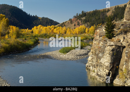 Feuillage d'automne dans le Grand Tetons Banque D'Images