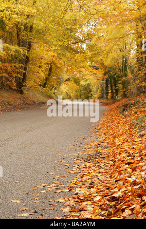 Country Road in autumn Banque D'Images