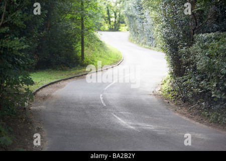 Route de campagne sinueuse verso par des haies Banque D'Images