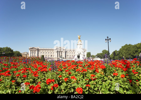 Le palais de Buckingham avec fleurs fleurir dans le Queen's Garden, Londres, Angleterre Banque D'Images