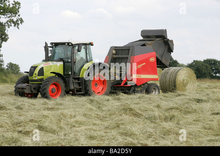 Fait de grosses balles rondes de foin pour l'alimentation des bovins Banque D'Images