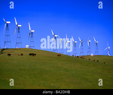 Les éoliennes produisant de l'électricité près de Palm Springs en Californie USA Banque D'Images