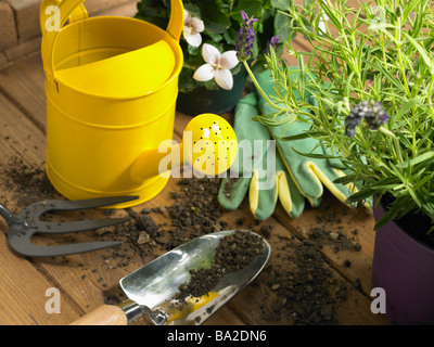 Arrosoir et truelle à côté de plantes Banque D'Images