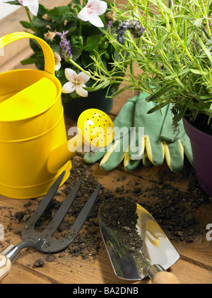 Arrosoir et truelle à côté de plantes Banque D'Images