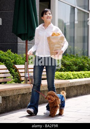 Young woman walking un caniche Toy sur juvel holding bag of groceries Banque D'Images