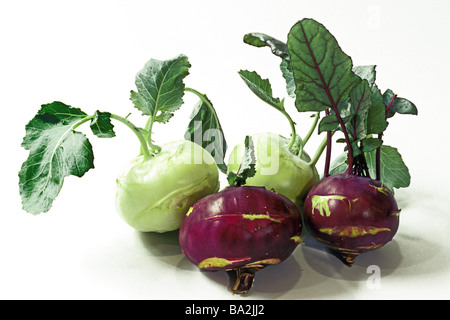 Chou-rave, navet allemand (Brassica oleracea convar. acephala var. gongylodes), blanc et violet tiges, studio photo. Banque D'Images