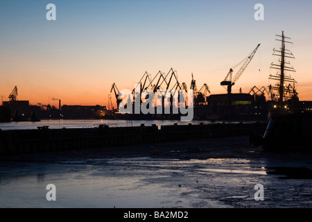 Coucher de soleil sur les grues en hiver. Banque D'Images