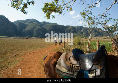 Vinales Cuba l'équitation dans la culture du tabac pays Mars 2009 Banque D'Images