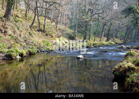 La rivière Teign près de Fingle Bridge au sein du Parc National de Dartmoor, dans le Devon, Angleterre Banque D'Images