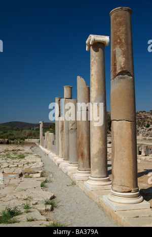 Ligne de colonnes anciennes la voie sacrée dans les ruines de Patara, Turquie Banque D'Images