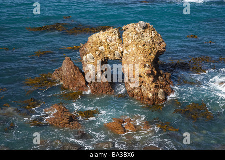 Arche naturelle Péninsule Huriawa Site Karitane Pa Maori historique près de Dunedin Otago ile sud Nouvelle Zelande Banque D'Images
