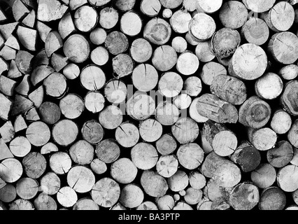 Années 1980, photo en noir et blanc, la déforestation, le bois de sciage d'arbres, pieux, blocs de bois, bois de chauffage Banque D'Images